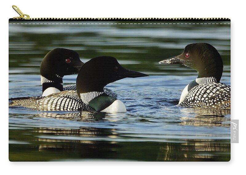Loons Zip Pouch featuring the photograph A Trio of Loons by Steven Clipperton