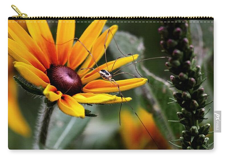Color Photography Zip Pouch featuring the photograph A Walk In The Garden by Sue Stefanowicz