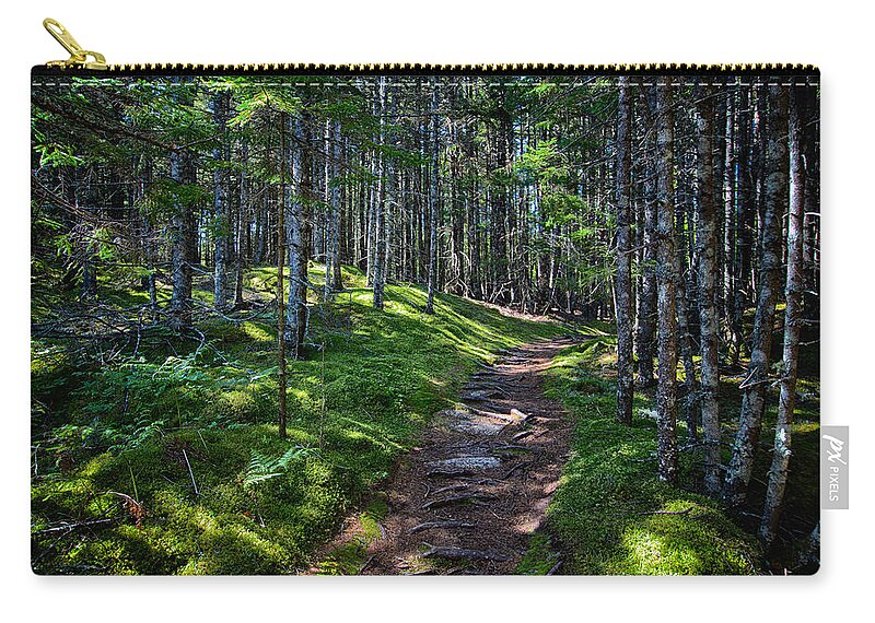 Maine Zip Pouch featuring the photograph A Walk in the Woods by John Haldane
