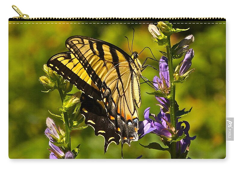 Colorful Butterfly And Purple Flowers Zip Pouch featuring the photograph A Warm September Day in the Garden by Byron Varvarigos