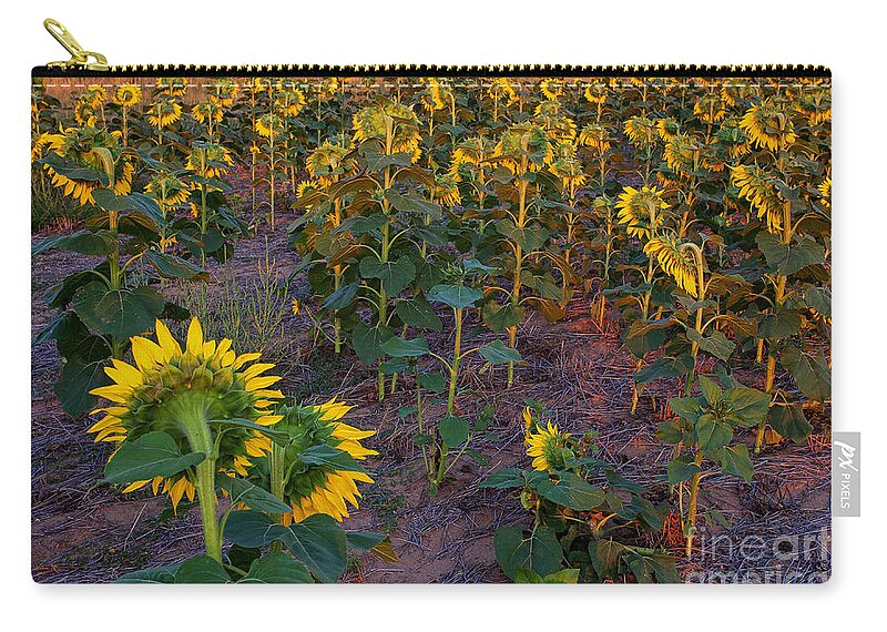 Flowers Zip Pouch featuring the photograph About Face by Jim Garrison
