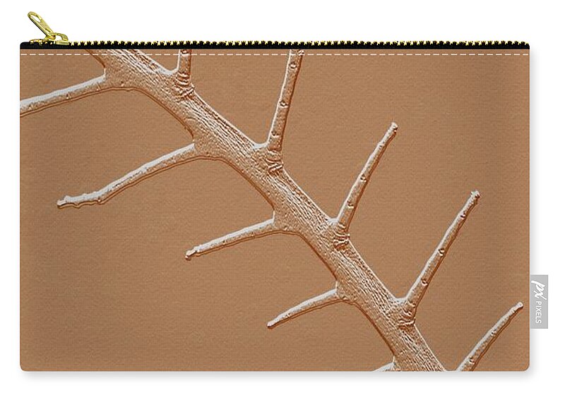 Abstract Branch Zip Pouch featuring the photograph Abstract Branch Winter Net Leaf Hackberry Tree by Tom Janca