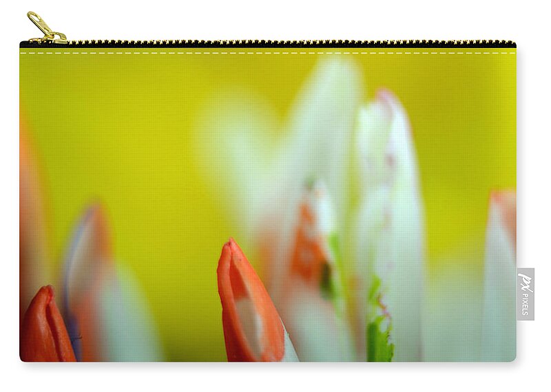 Mums Zip Pouch featuring the photograph Abstract Mums by Ann Bridges