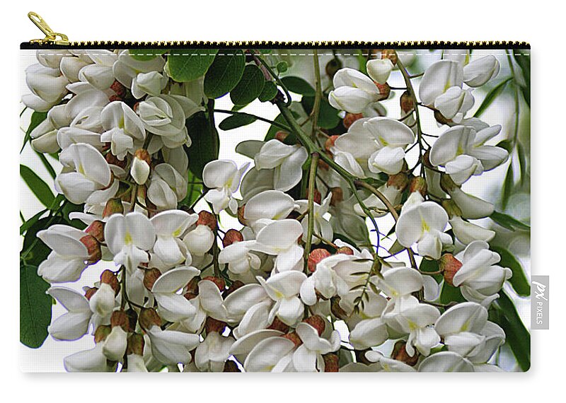 Nature Carry-all Pouch featuring the photograph Acacia Tree Flowers by William Selander