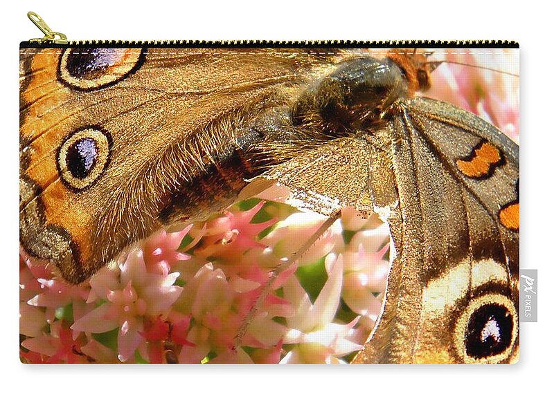 Butterfly Zip Pouch featuring the photograph Adapted by Chris Berry