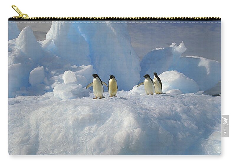 Feb0514 Zip Pouch featuring the photograph Adelie Penguins On Iceberg Antarctica by Colin Monteath