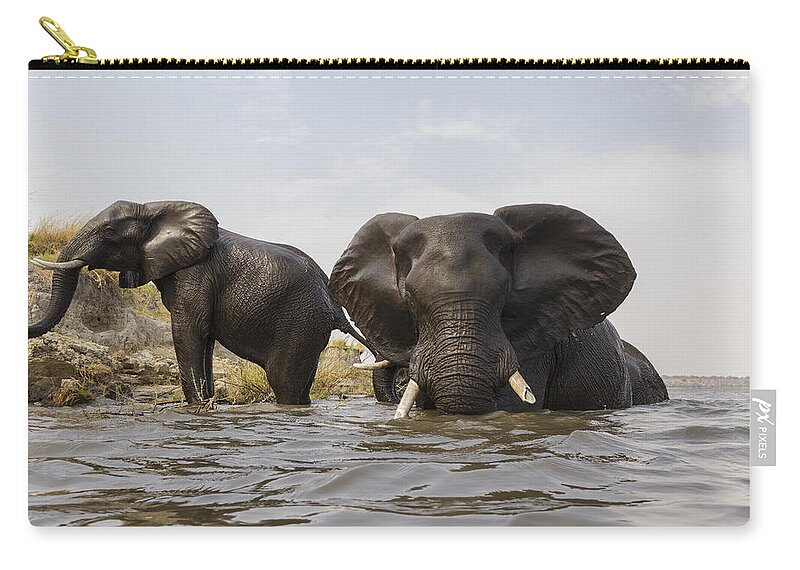 Vincent Grafhorst Carry-all Pouch featuring the photograph African Elephants In The Chobe River by Vincent Grafhorst