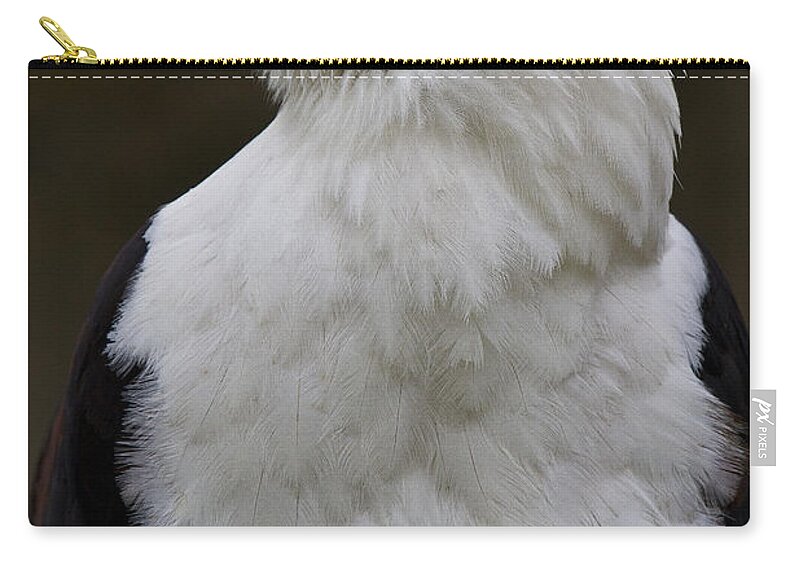 Bird Of Prey Zip Pouch featuring the photograph African fish eagle 4 by Heiko Koehrer-Wagner