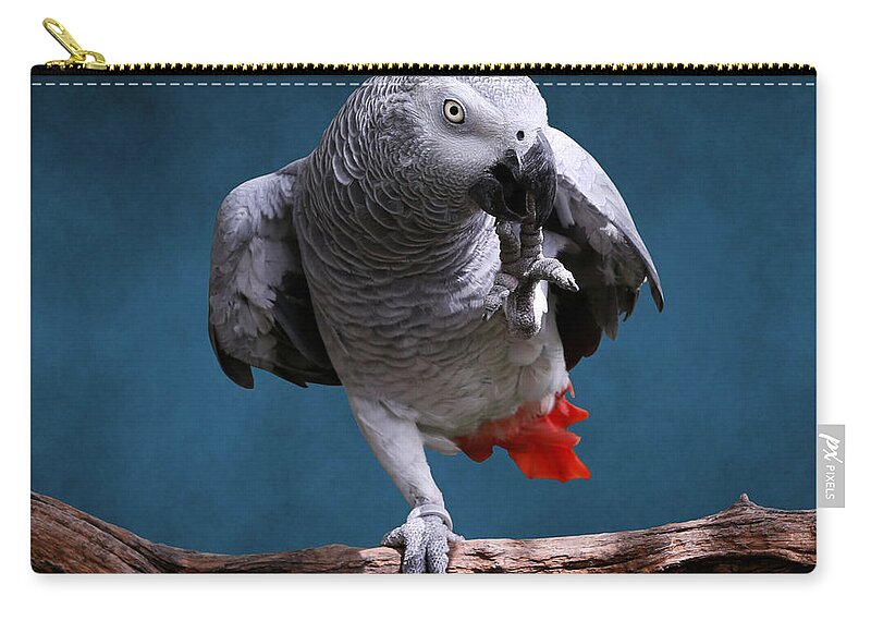 One Animal Zip Pouch featuring the photograph African Gray Parrot by © Debi Dalio