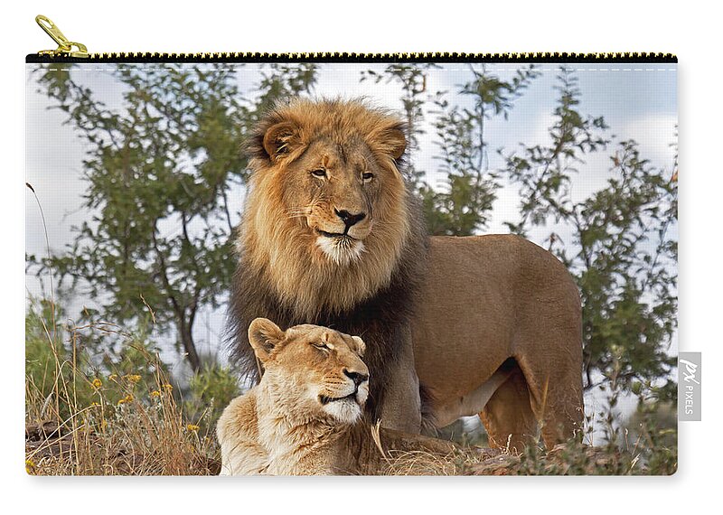 Nis Carry-all Pouch featuring the photograph African Lion And Lioness Botswana by Erik Joosten