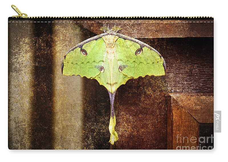 Butterfly Zip Pouch featuring the photograph African Moon Moth 2 by Andee Design