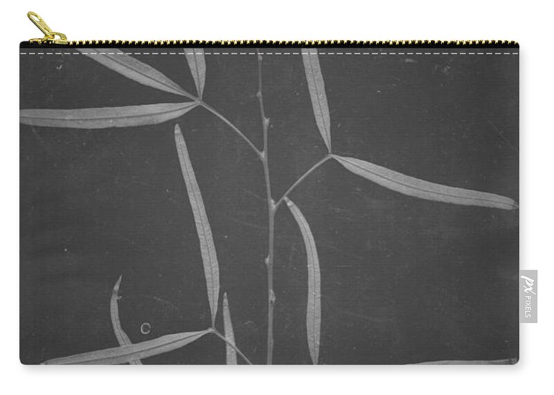 Leaves Zip Pouch featuring the photograph African Sumac by Mark Ross