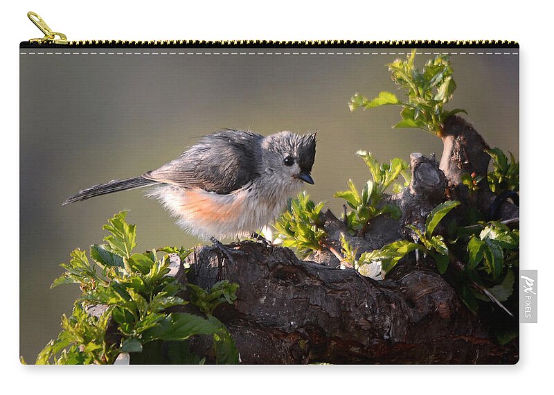 Nature Zip Pouch featuring the photograph After the Bath by Nava Thompson