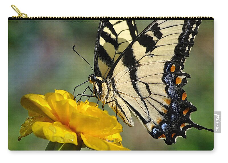 Nature Zip Pouch featuring the photograph After the rain by Nava Thompson