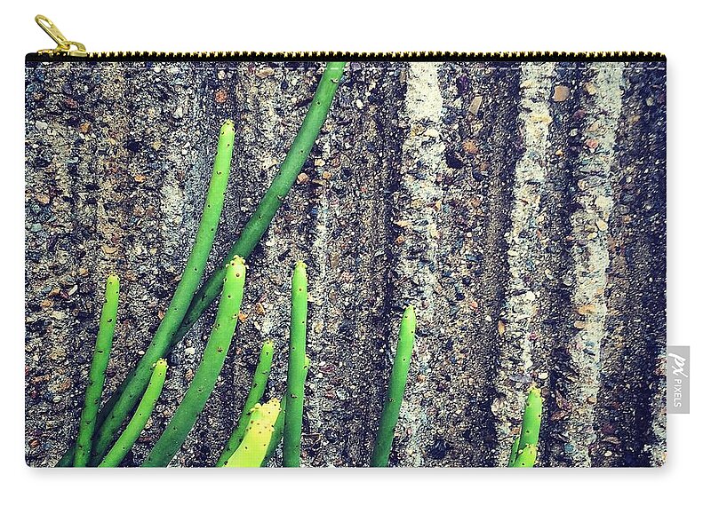 Euphorbia Leucodendron. Botanical Zip Pouch featuring the photograph Against the Wall by Eric Suchman