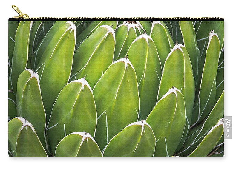 Agave Zip Pouch featuring the photograph Agave Victoriae Reginae by Andy Sotiriou