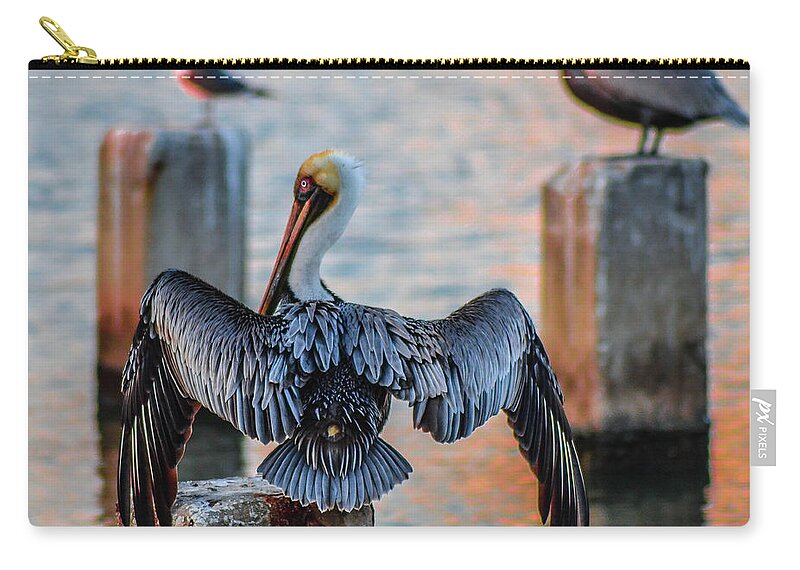 Pelican Zip Pouch featuring the photograph Airing Out by Shannon Harrington