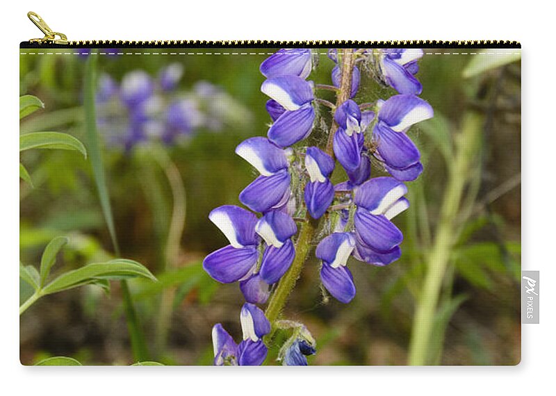 Alaska Zip Pouch featuring the photograph Alaskan Lupine in Denali Park by Penny Lisowski