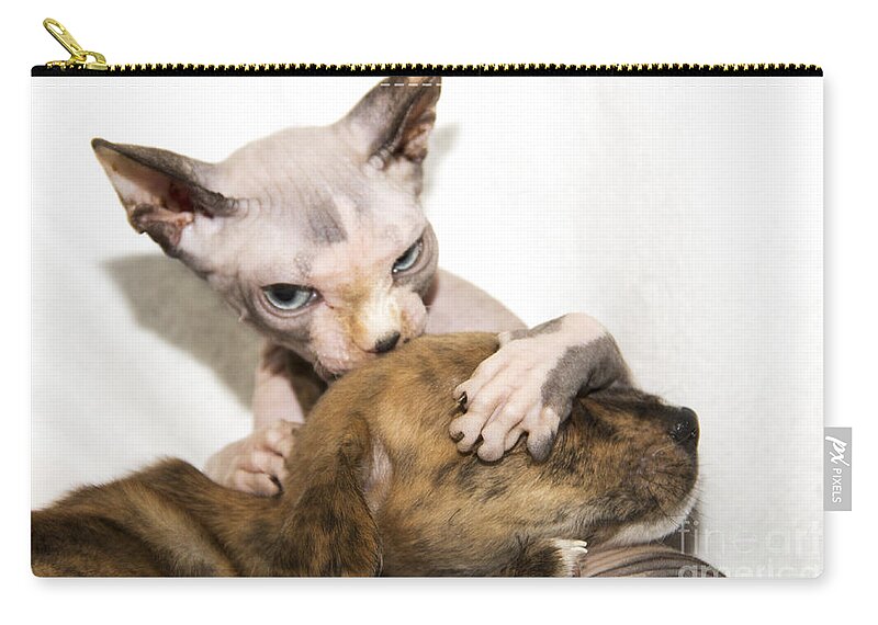 Sphynx Zip Pouch featuring the photograph Alien Abduction by Jeannette Hunt