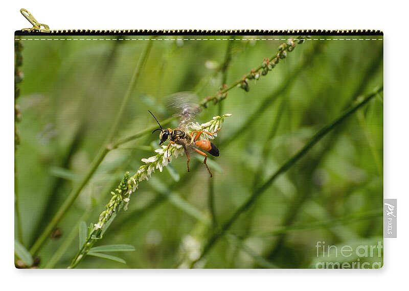 Insect Zip Pouch featuring the photograph All To Myself by Donna Brown
