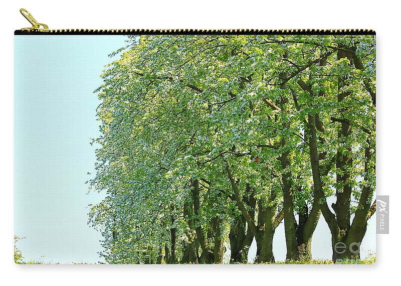 Autumn Carry-all Pouch featuring the photograph Alley of Trees by Amanda Mohler