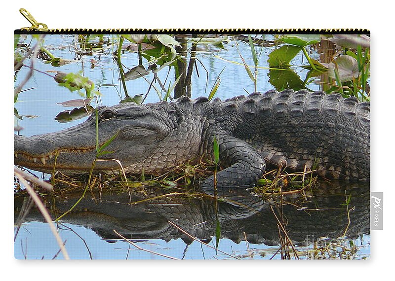 Alligator Zip Pouch featuring the photograph Alligator 2 by Amanda Mohler