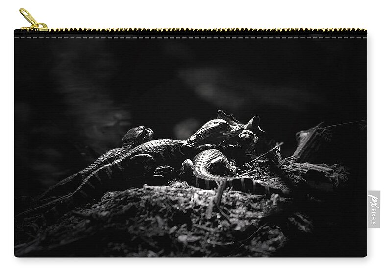 Alligator Zip Pouch featuring the photograph Alligator Family by Mark Andrew Thomas