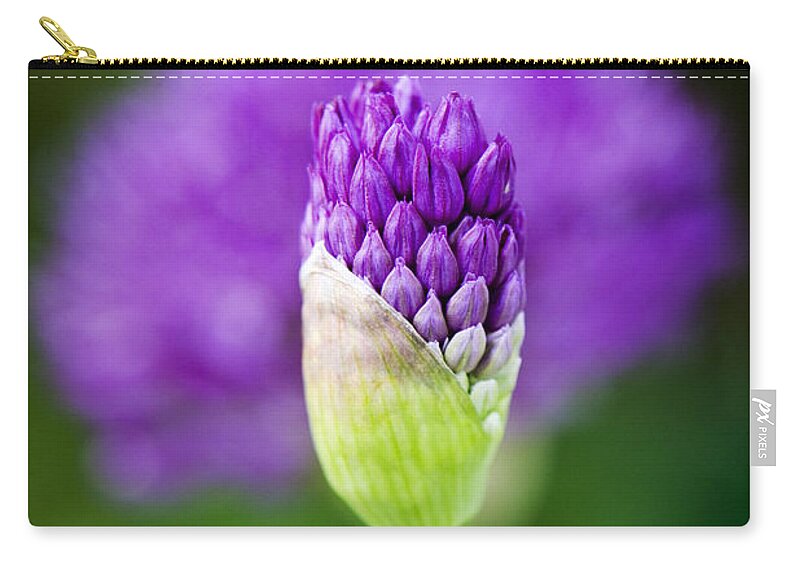 Allium Hollandicum Zip Pouch featuring the photograph Allium hollandicum Purple Sensation by Tim Gainey
