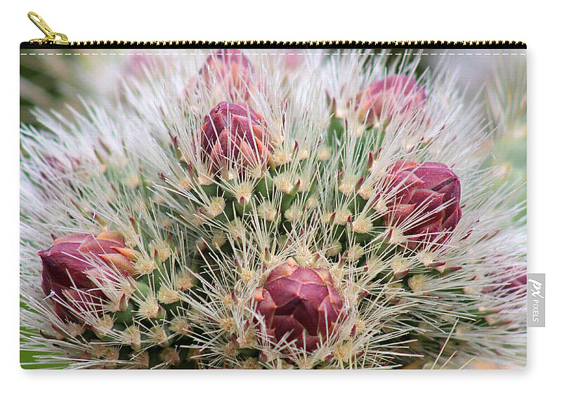 Cactus Zip Pouch featuring the photograph Almost by Tammy Espino