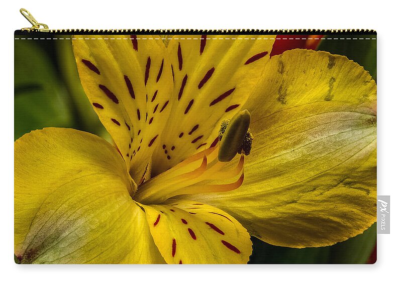 Alstroemeria Carry-all Pouch featuring the photograph Alstroemeria Bloom by Ron Pate