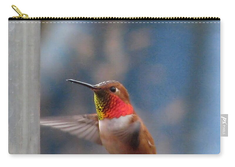 Hummingbirds Carry-all Pouch featuring the photograph Always Remember Your Joy by Rory Siegel