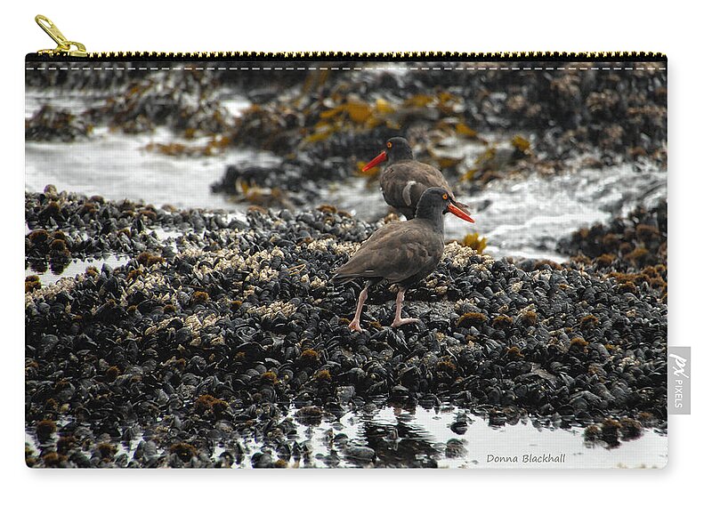 Coast Zip Pouch featuring the photograph Always Walking On Shells With You by Donna Blackhall