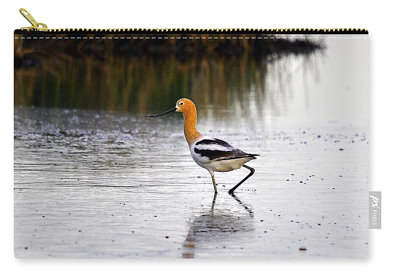 Wading Bird Zip Pouch featuring the photograph American Avocet by Al Powell Photography USA