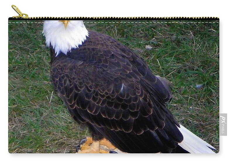 American Eagle Zip Pouch featuring the photograph American Bald Eagle 2 by Sheri McLeroy