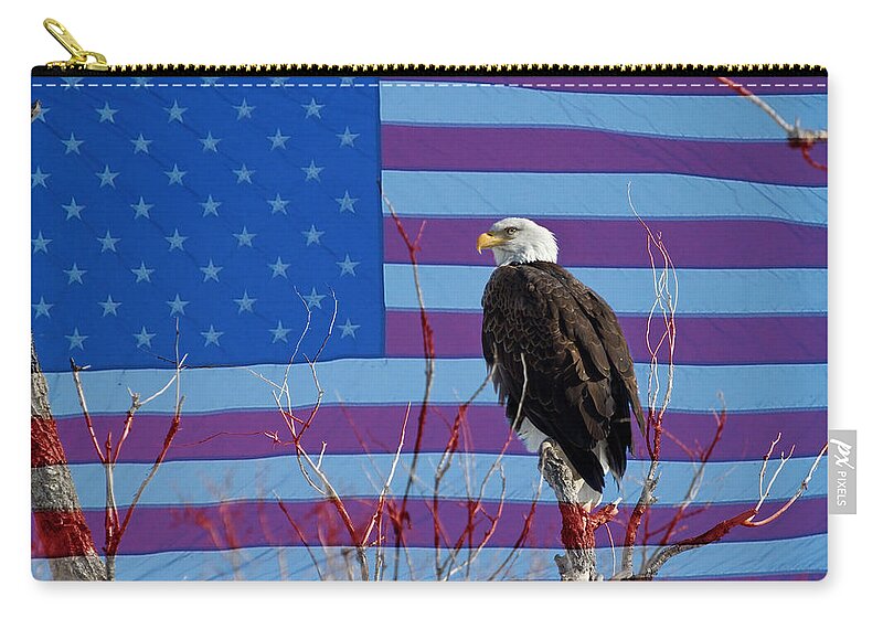 Bald Eagle Zip Pouch featuring the photograph American Bald Eagle 3 by James BO Insogna
