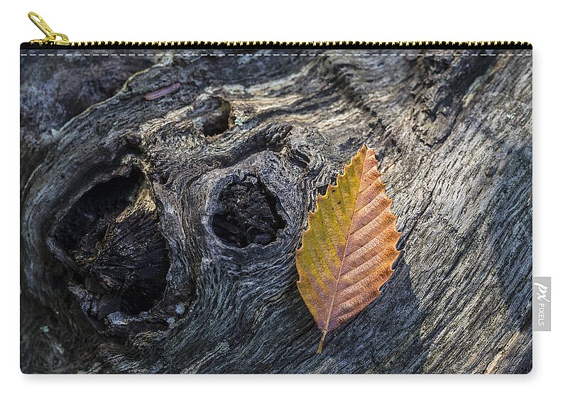 Andrew Pacheco Zip Pouch featuring the photograph American Beech Leaf by Andrew Pacheco