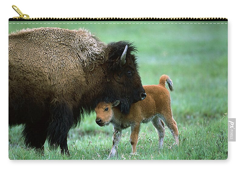 00761609 Zip Pouch featuring the photograph American Bison and Calf Yellowstone NP by Suzi Eszterhas