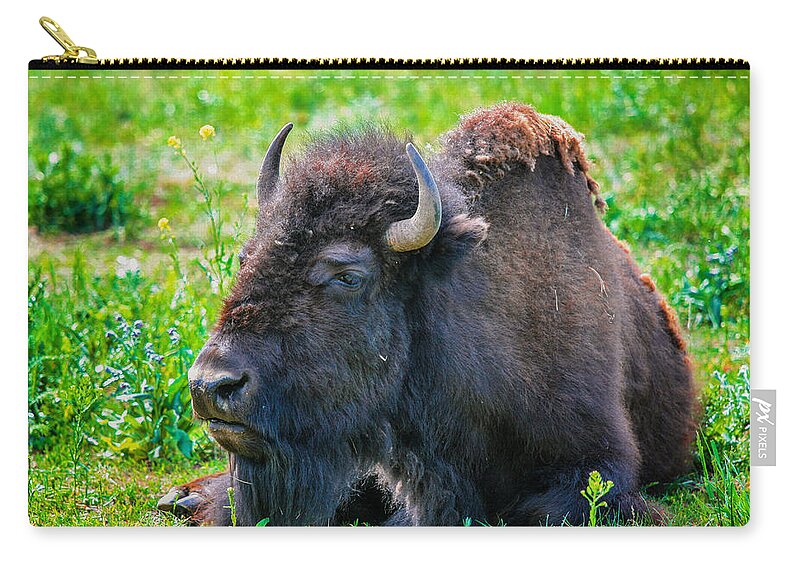 Bison Zip Pouch featuring the photograph American Bison by Juli Ellen