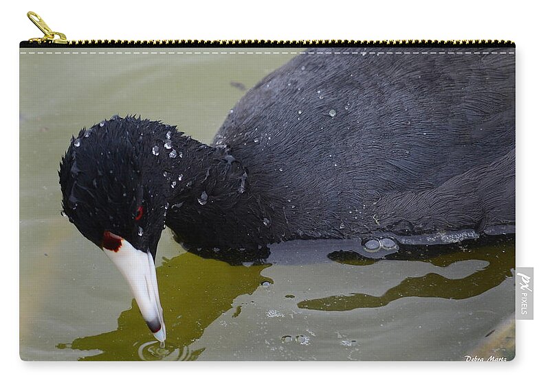 American Zip Pouch featuring the photograph American Coot by Debra Martz