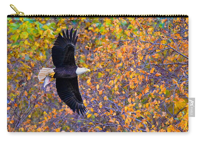Eagle Zip Pouch featuring the photograph American Eagle in Autumn by William Jobes