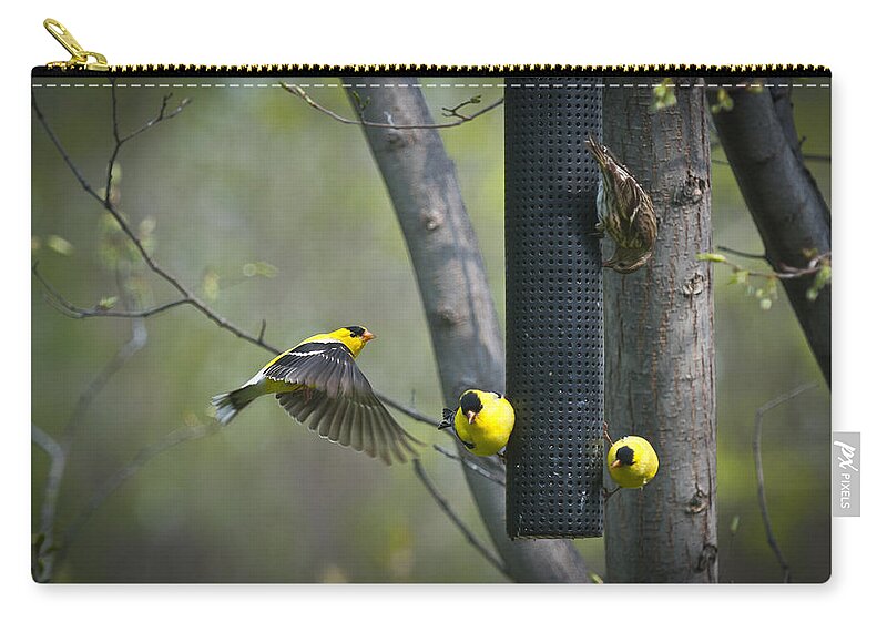 American Zip Pouch featuring the photograph American Goldfinch by Bill Cubitt