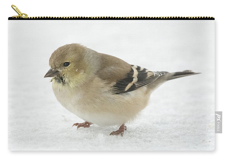 Jan Holden Zip Pouch featuring the photograph American Goldfinch in the Snow by Holden The Moment