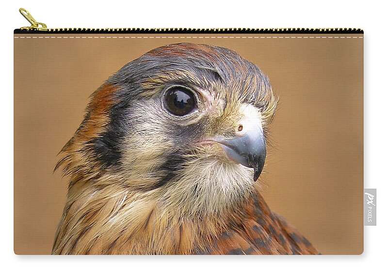 American Kestrel Zip Pouch featuring the photograph American Kestrel by David and Carol Kelly