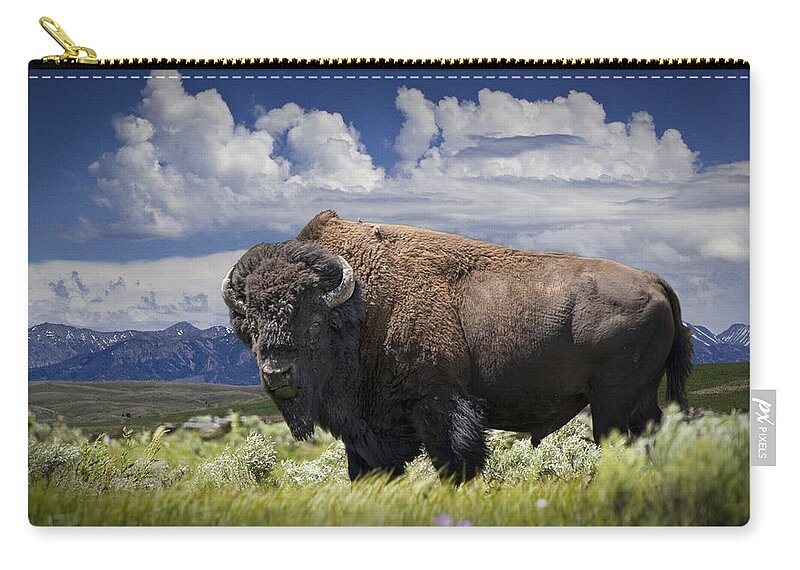 Bison Zip Pouch featuring the photograph American Western Buffalo by Randall Nyhof