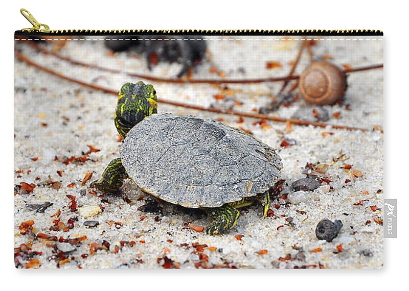 Yellow Bellied Slider Zip Pouch featuring the photograph Among Acorns by Al Powell Photography USA