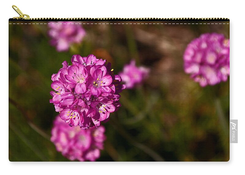  Armeria Maritima Zip Pouch featuring the photograph Among and Set Apart by Tikvah's Hope