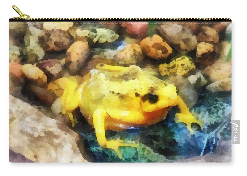 Frog Zip Pouch featuring the photograph Amphibian - Panamanian Golden Frog by Susan Savad