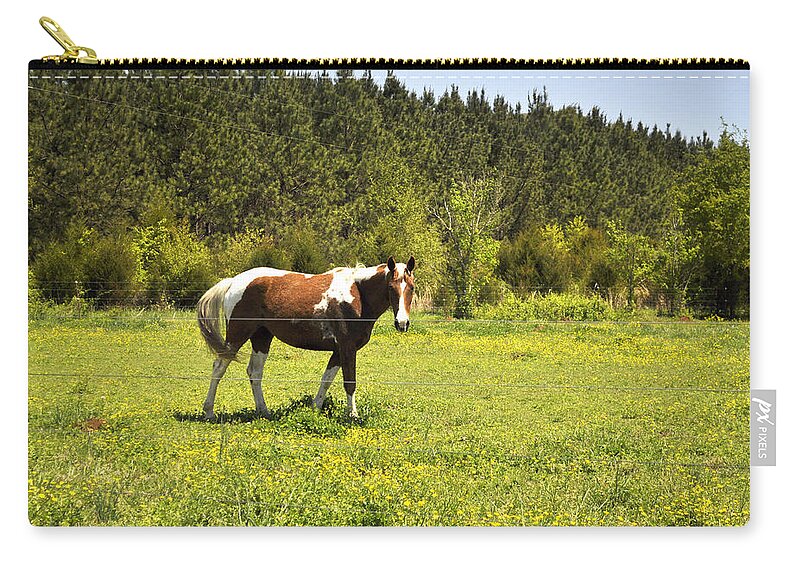 Horse Zip Pouch featuring the photograph An Alabama Horse by Verana Stark
