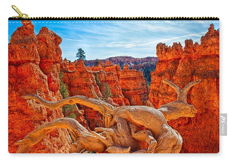 Landscape Zip Pouch featuring the photograph An Object for Imagination by John M Bailey