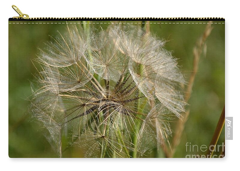 Environmental Conservation Zip Pouch featuring the photograph Angel Petals by Scott Lyons